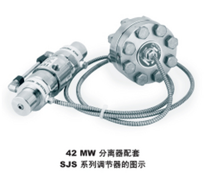 42MW  焊接隔板仪表分离器